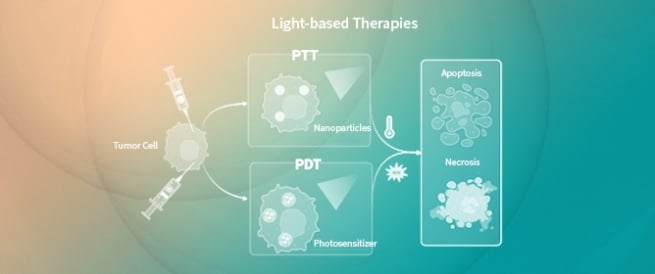 Targeting Triple-Negative Breast Cancer: A Special Focus on Phototherapy and Nanomaterials
