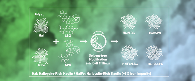Evaluating Halloysite-Rich Kaolin/Biopolymer Composites for Enhanced Carbon Capture&mdash;A Study of Isotherms and Mechanisms