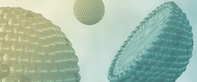 Perfluorocarbon Nanoemulsions for Simultaneous Delivery of Oxygen and Antioxidants During Machine Perfusion Supported Organ Preservation