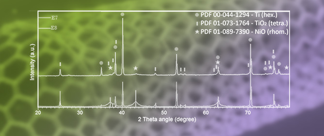 Novel TiO<sub>2</sub> Nanotube-Based Electrocatalysts for the Hydrogen Evolution Reaction in Alkaline Medium