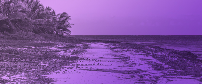 Dispersion Modeling to Characterize Air Pollution Exposure from <em>Sargassum</em> in Martinique