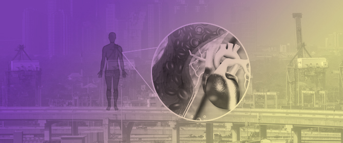 Urban Air Pollution and Cardiovascular Health: A Study of PM<sub>2.5</sub> and CVD Morbidity in a Metropolitan City, Karachi (Pakistan)