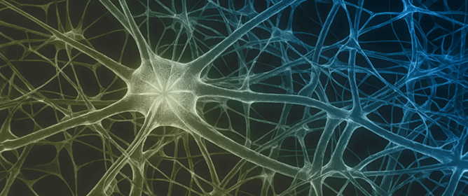 The Molecular Architecture of Neurodegeneration: An Integrative Overview of Convergent Mechanisms