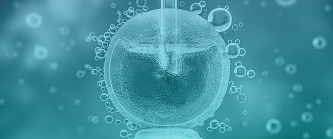 Optimization of Embryo Culture Conditions in IVF: Quality Assurance and Emerging Technologies