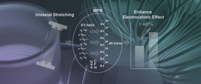 Large Electrocaloric Effect in Stretched Relaxor Ferroelectric Polymers near Morphotropic Phase Boundary