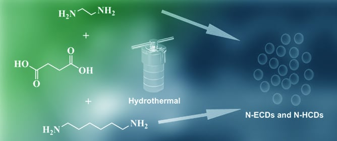 Carbon Dot Nanotherapeutics Modulating the Polyol Pathway and Targeting Infection Pathogens Associated with Diabetic Complications