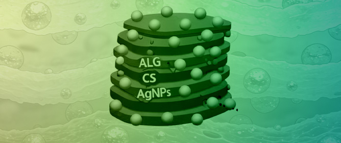 Self-Assembly Multilayers Alginate/Chitosan Film Loaded with Alginate-Capped Silver Nanoparticles: A Promising Scaffold in Infected Skin Wound Scenarios