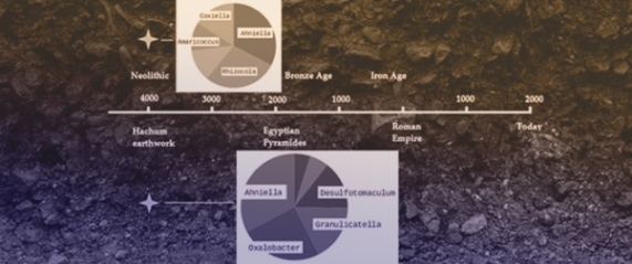 NGS Data of Local Soil Bacterial Communities Reflecting the Ditch Profile of a Neolithic Rampart from Hachum (Germany)
