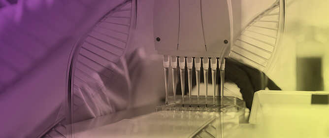 Optimization of the Quantification of Antibiotic Resistance Genes in Media from the Yangtze River Estuary