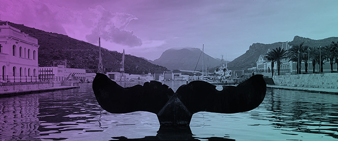 Occurrence of Pharmaceuticals in the Seawater Samples of the Port of Cartagena (Murcia, Spain): A Pilot Study