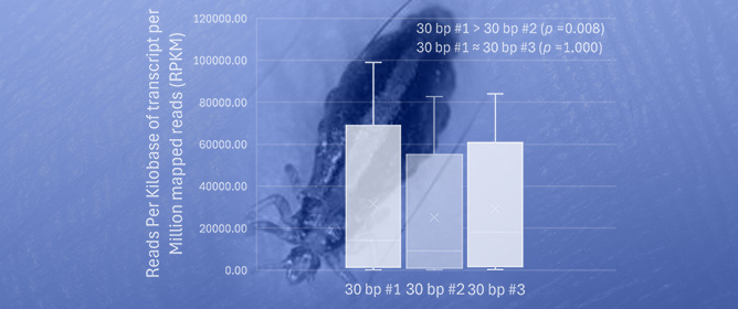 Transcription of Extensively Fragmented Mitochondrial Genomes of Human Lice