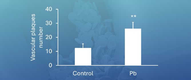 Endothelial PAI-1, Astrocytes, and Pb-Induced Amyloid Pathology