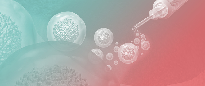 Availability of Different Related Stem Cell Donors and Outcomes After Allogeneic Transplantation: A Single-Center Experience (2019&ndash;2024)