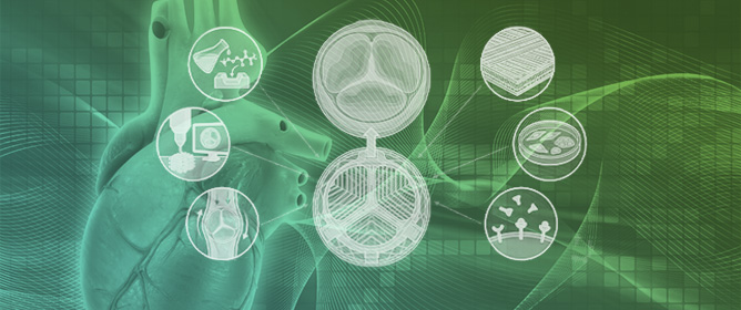 Advancements and Challenges in Tissue-Engineered Heart Valves: Integrating Biomechanics, Biomaterials, and Biomimetic Design for Functional Maturity