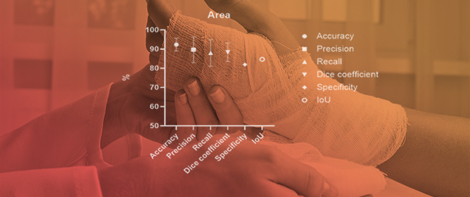 Artificial Intelligence in Burn Assessment: A Scoping Review with an LLM-Generated Decision Tree