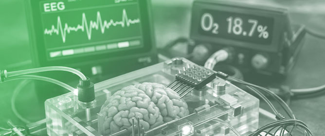 Organs-on-Chips in Drug Development: Engineering Foundations, Artificial Intelligence, and Clinical Translation