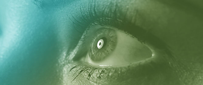 A Data-Driven Approach for Comparing Gaze Allocation Across Conditions