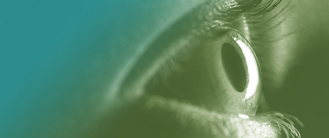 Simultaneous Analysis of Microsaccades and Pupil Size Variations in Age-Related Cognitive Impairment Using Eye-Tracking Technology