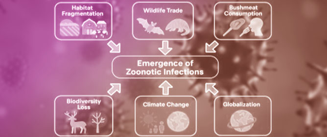 Drivers &amp; Impacts of Viral Zoonoses: Public Health &amp; Economics
