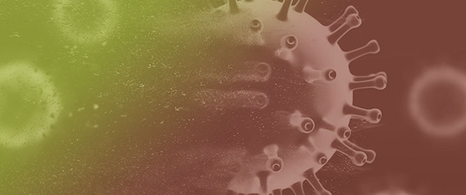Mapping Socio-Environmental Drivers of Zoonotic Diseases in Brazil