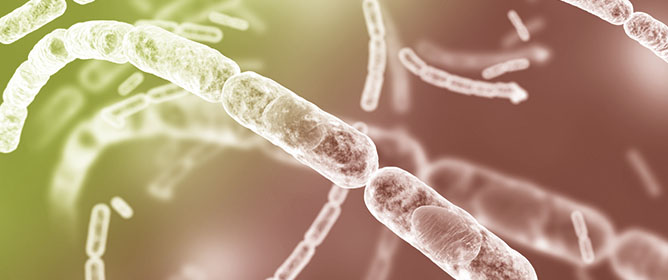 Global Risk Factors for Human Anthrax Infection