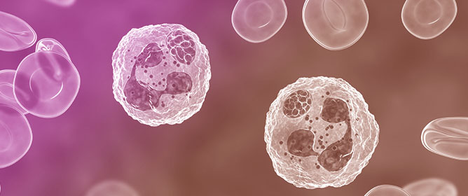 The Overlooked Winter Presentation: A Case Series of Two Patients with Human Granulocytic Anaplasmosis