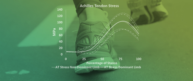 Exploration of Achilles Tendon Loading Symmetry in Female Runners