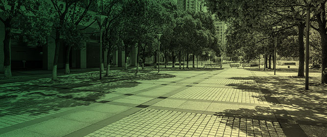 Impervious Surfaces Do Not Impact Urban Tree Crown Growth