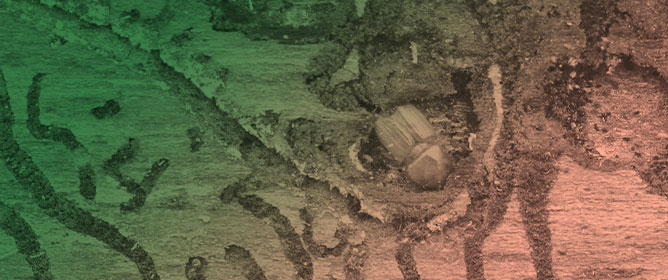 Hydrochemical Resilience of Mountain Forest Catchments to Bark Beetle Disturbance: A Central European Study