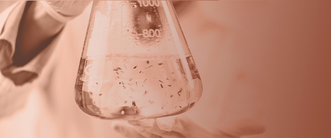 The Effects of Microplastics and Nanoplastics in the Nasal Airway and Upper Respiratory Tract