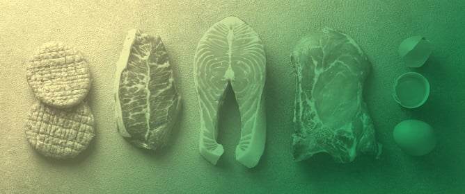 Carnivore Diet: A Scoping Review of the Current Evidence, Potential Benefits and Risks