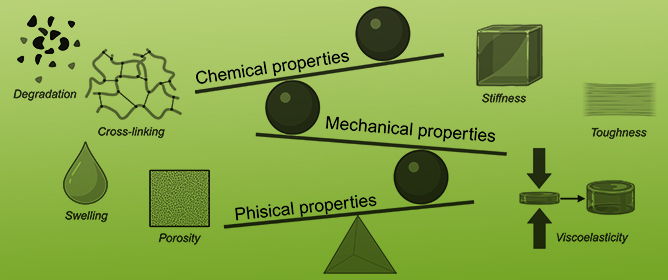 Functional Hydrogels in Bone Tissue Engineering: From Material Design to Translational Applications
