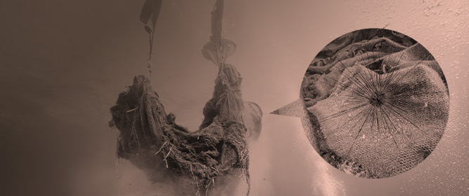 Marine Organisms Fouling on Ghost Nets in the Sounio Marine Protected Area (Greece)