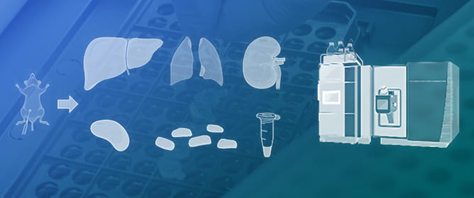 Metabolomic Study of 7-Ethyl-9-(<em>N</em>-methyl)aminomethyl-10-hydroxycamptothecin Derivative (NMe)&mdash;The Chemotherapeutic Drug Candidate Versus Irinotecan (IR) on a Mouse Model