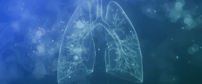 Sex-Specific Plasma Metabolomic Signatures in COPD Reveal Creatine, Purine/Urate, and Bile-Acid Axes