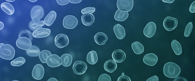 <sup>1</sup>H NMR-Based Metabolomics in Pediatric Acute Lymphoblastic Leukemia: A Pilot Study of Plasma and Cerebrospinal Fluid Profiles
