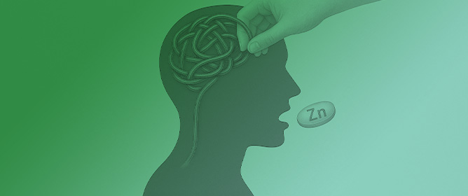 Zinc Therapy in Mild Cognitive Impairment: Cognitive Stabilization in Pharmacodynamically Responsive Patients in the ZINCAiD Trial