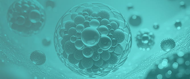 Cancer Characteristics and Immunotherapy in Older Adults: Treatment Approaches, Immune-Related Adverse Events, and Management Considerations