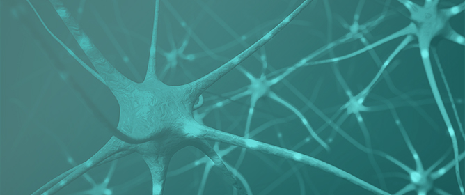 Role of NLRP3 Inflammasome in Neurodegeneration and Cancer: A Double-Edged Sword