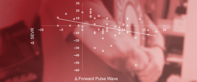 Front Load Carriage Has Sex-Specific and Perhaps Occupational Risk Implications for Cardiovascular Health