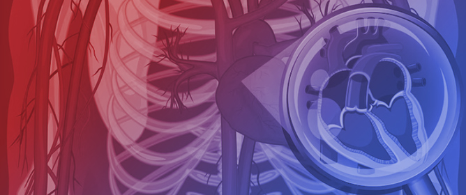 Proximal Aorta Flow as a Proxy for Ventricular&ndash;Arterial Interaction