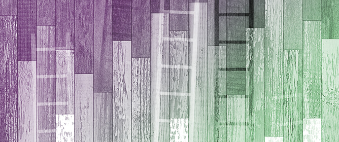 Greening Human Rights in Africa: The African Court and the Environmental Accountability of States and Corporations