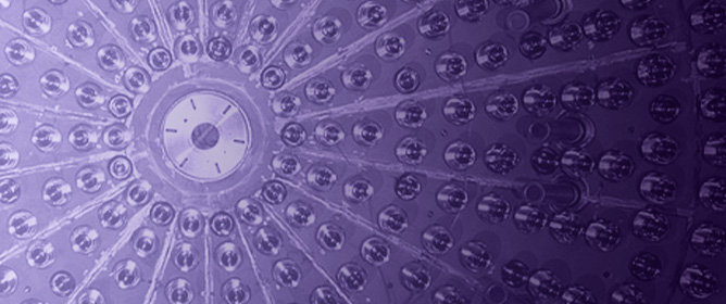 Operation of a Modular 3D-Pixelated Liquid Argon Time-Projection Chamber in a Neutrino Beam