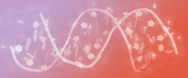 The Stiff Side of Cancer: How Matrix Mechanics Rewrites Non-Coding RNA Expression Programs