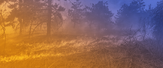 Wildfires as Emerging Dominant Arctic and Subarctic Extremes