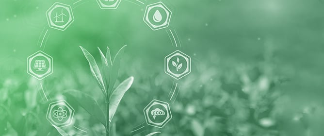 Evaluating Biodiversity Metrics for Detecting Climate-Driven Ecological Change