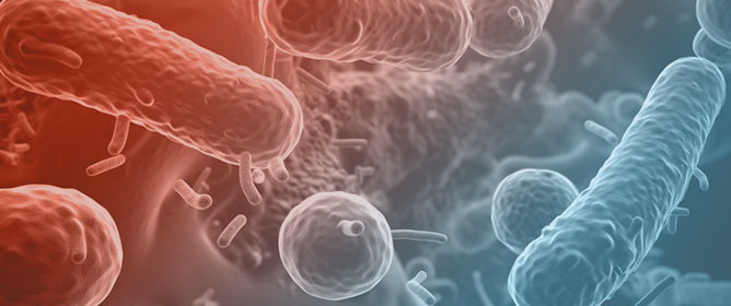 Molecular Detection of Helminths in Stool Samples: Methods, Challenges, and Applications
