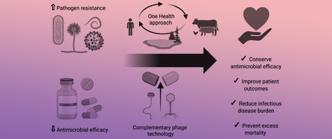 Expanding the Antimicrobial Toolbox with Therapeutic Viruses