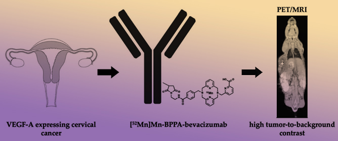 A Novel <sup>52</sup>Mn Chelator Enables Enhanced VEGF Detection by Immuno-PET
