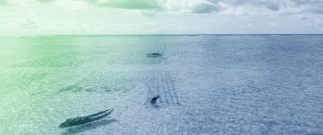 Mapping Coastal Marine Habitats with RGB and Multispectral UAS Imagery to Support Seaweed Aquaculture Management and Ecosystem Conservation